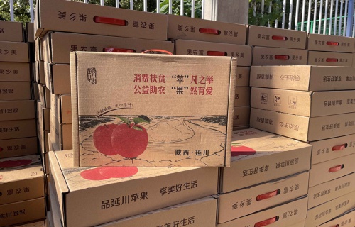 蜂鸟电竞“扶贫助农，振兴乡村”活动