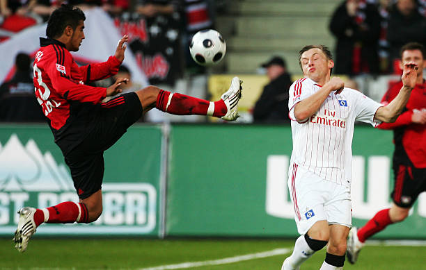 组织者东契 组织者东契